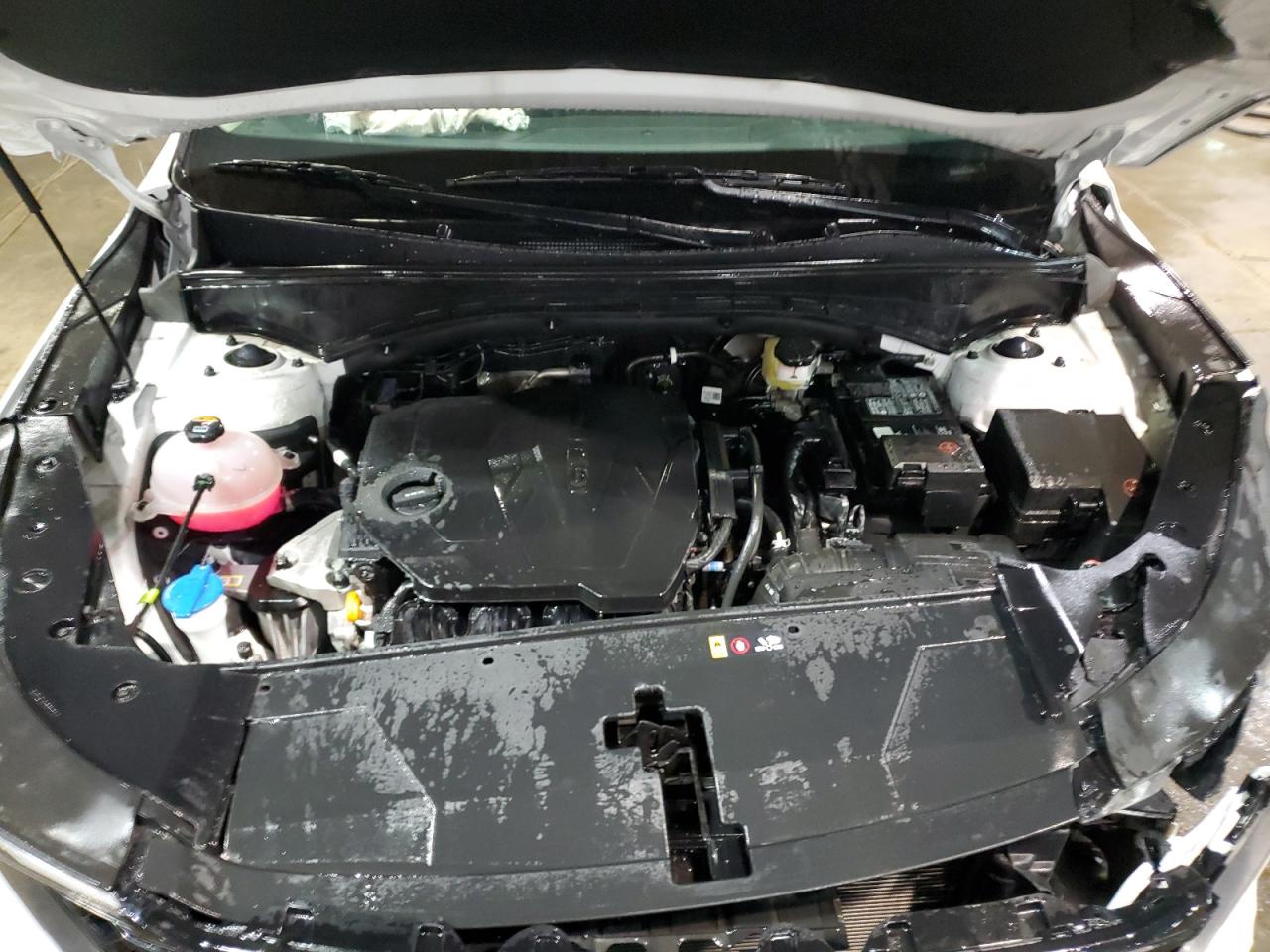 2024 KIA Sorento VIN 5XYRL4JC2RG282650 Copart auction photo, front end / side damage thumbnail 12