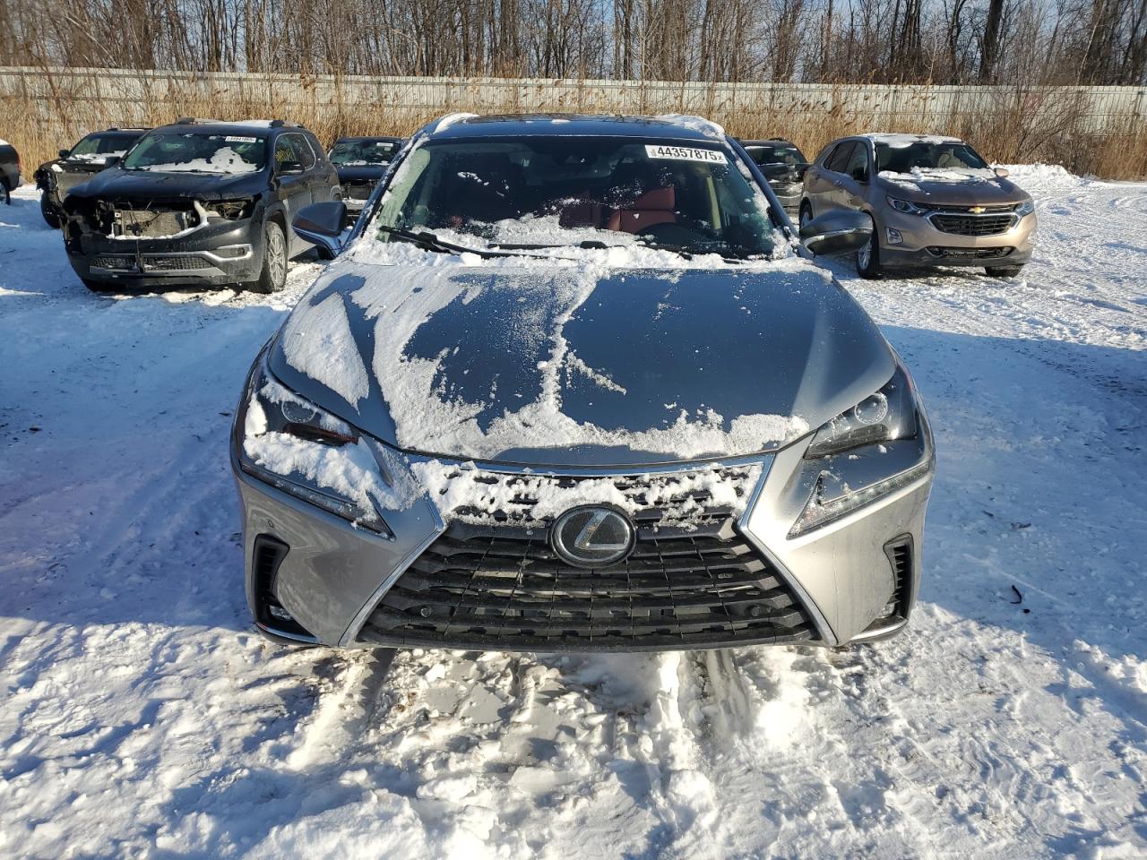 2020 Lexus NX VIN JTJDARDZ6L5003646 Copart auction photo, side / minor dent/scratches damage thumbnail 5