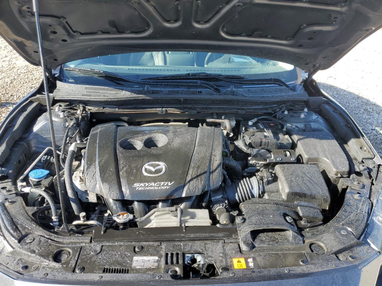 2016 Mazda 3 VIN JM1BM1N37G1353765 Copart auction photo, side damage thumbnail 11