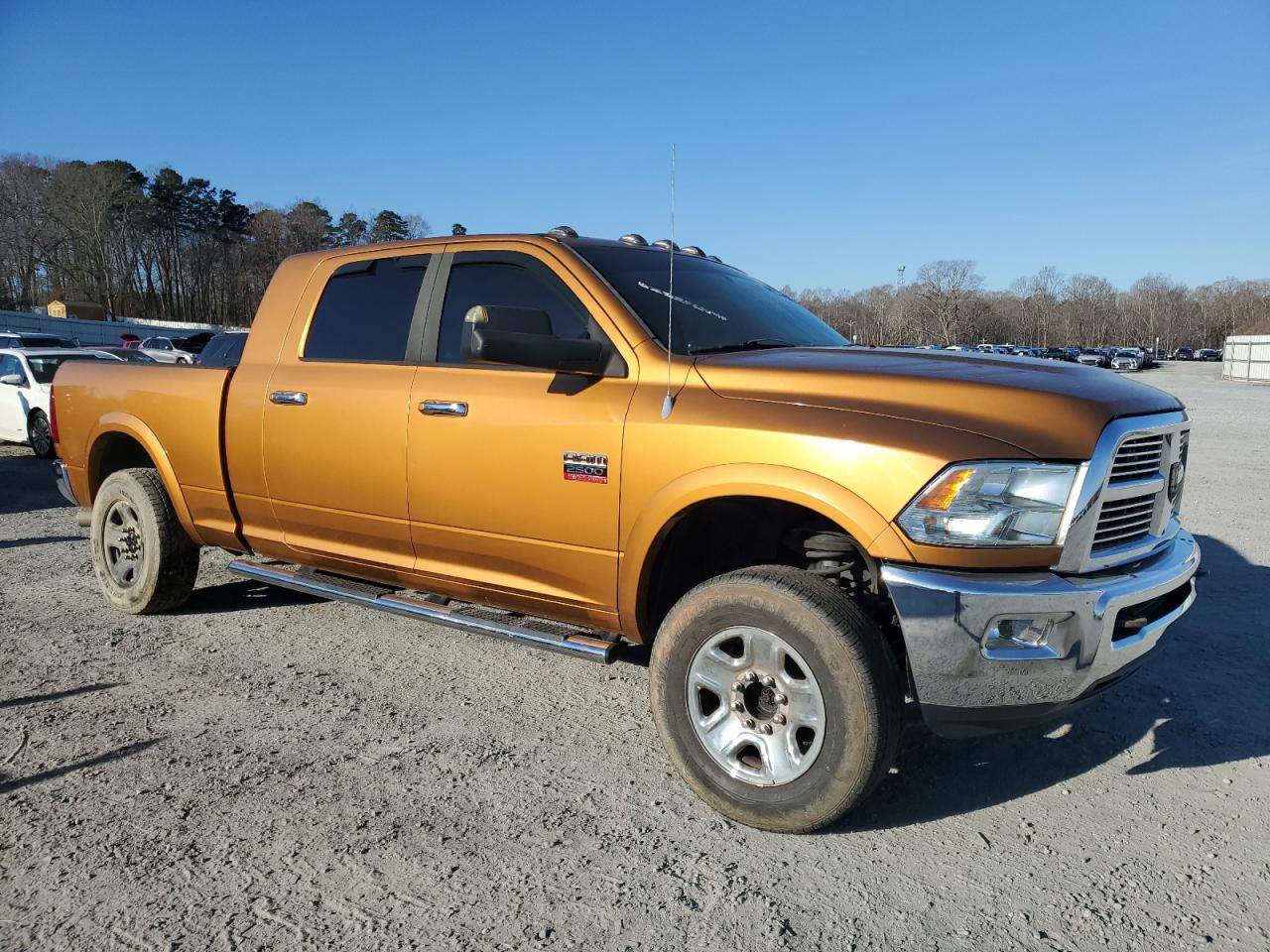 2012 Dodge RAM VIN 3C6TD5NT9CG287380 Copart auction photo, hail / rear end damage thumbnail 4