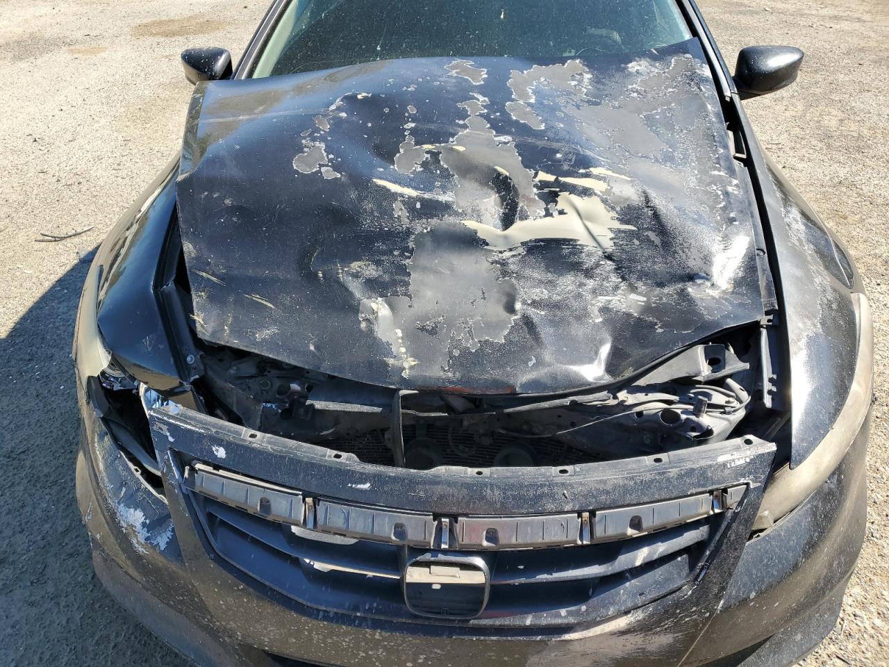 2011 Honda Accord VIN 1HGCS1B80BA002605 Copart auction photo, front end / minor dent/scratches damage thumbnail 13