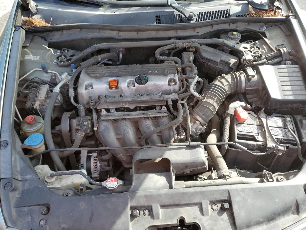 2010 Honda Accord VIN 1HGCP2F86AA019098 Copart auction photo, side damage thumbnail 11
