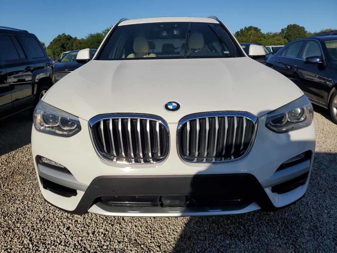 2019 BMW X3 VIN 5UXTR7C57KLF24333 Copart auction photo, water/flood damage thumbnail 5