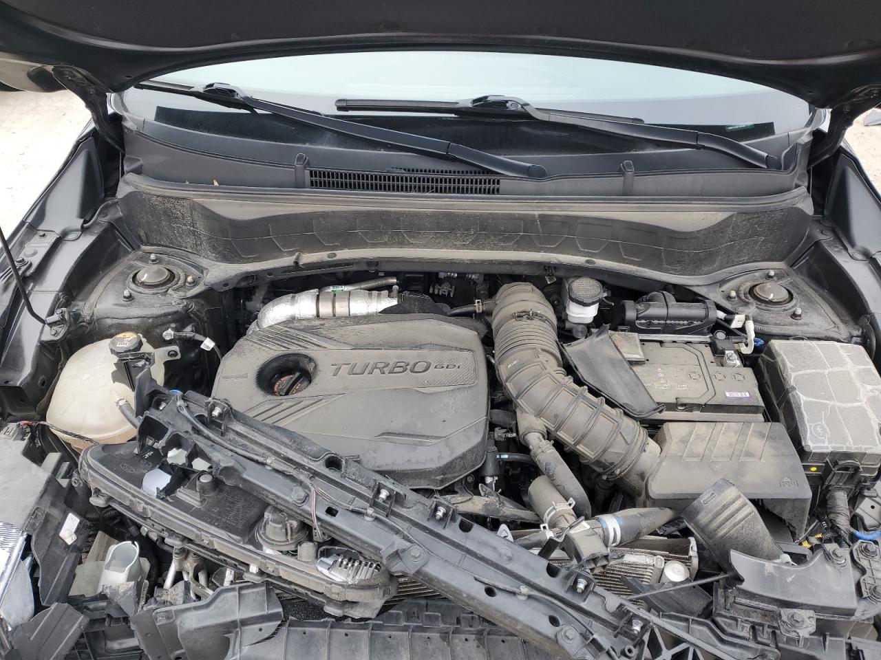 2023 KIA Seltos VIN KNDETCA23P7359536 Copart auction photo, front end damage thumbnail 13
