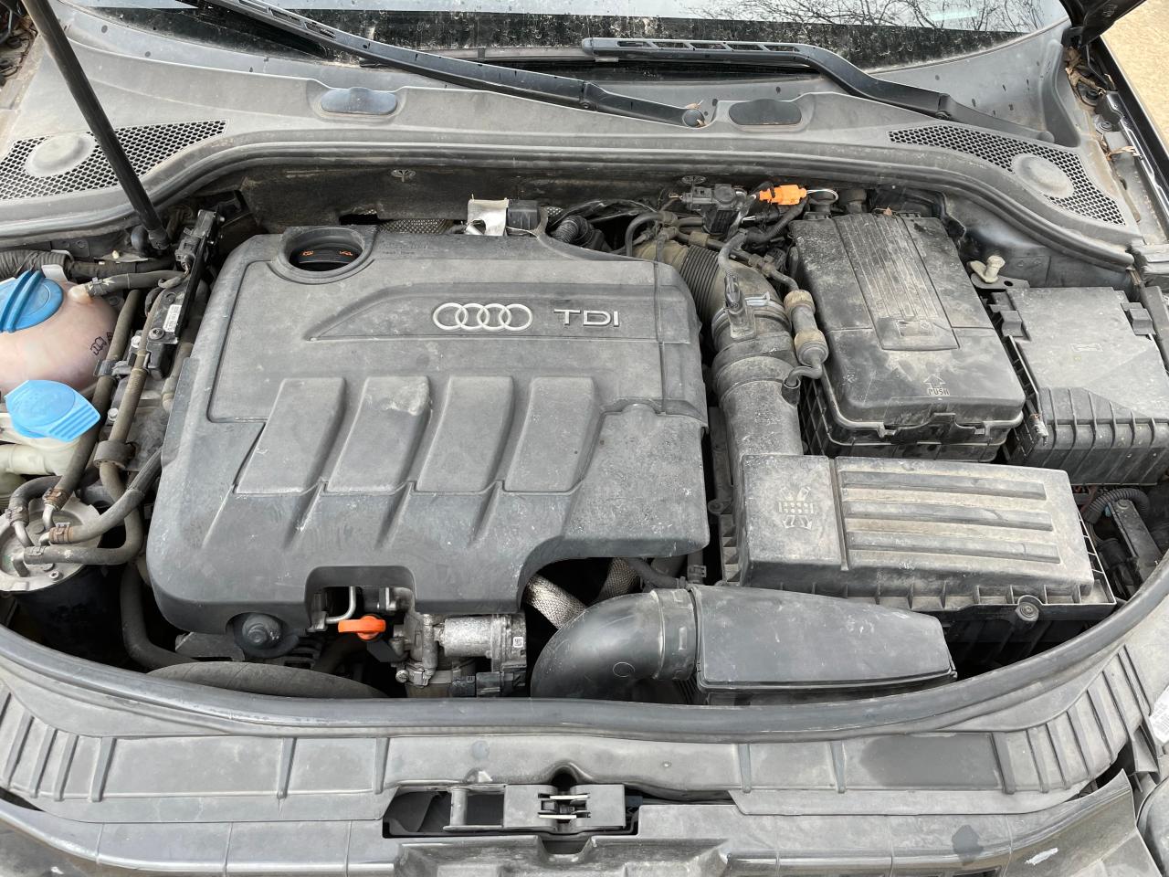 2012 Audi A3 VIN WAUKJAFM2CA141556 Copart auction photo, side / minor dent/scratches damage thumbnail 7