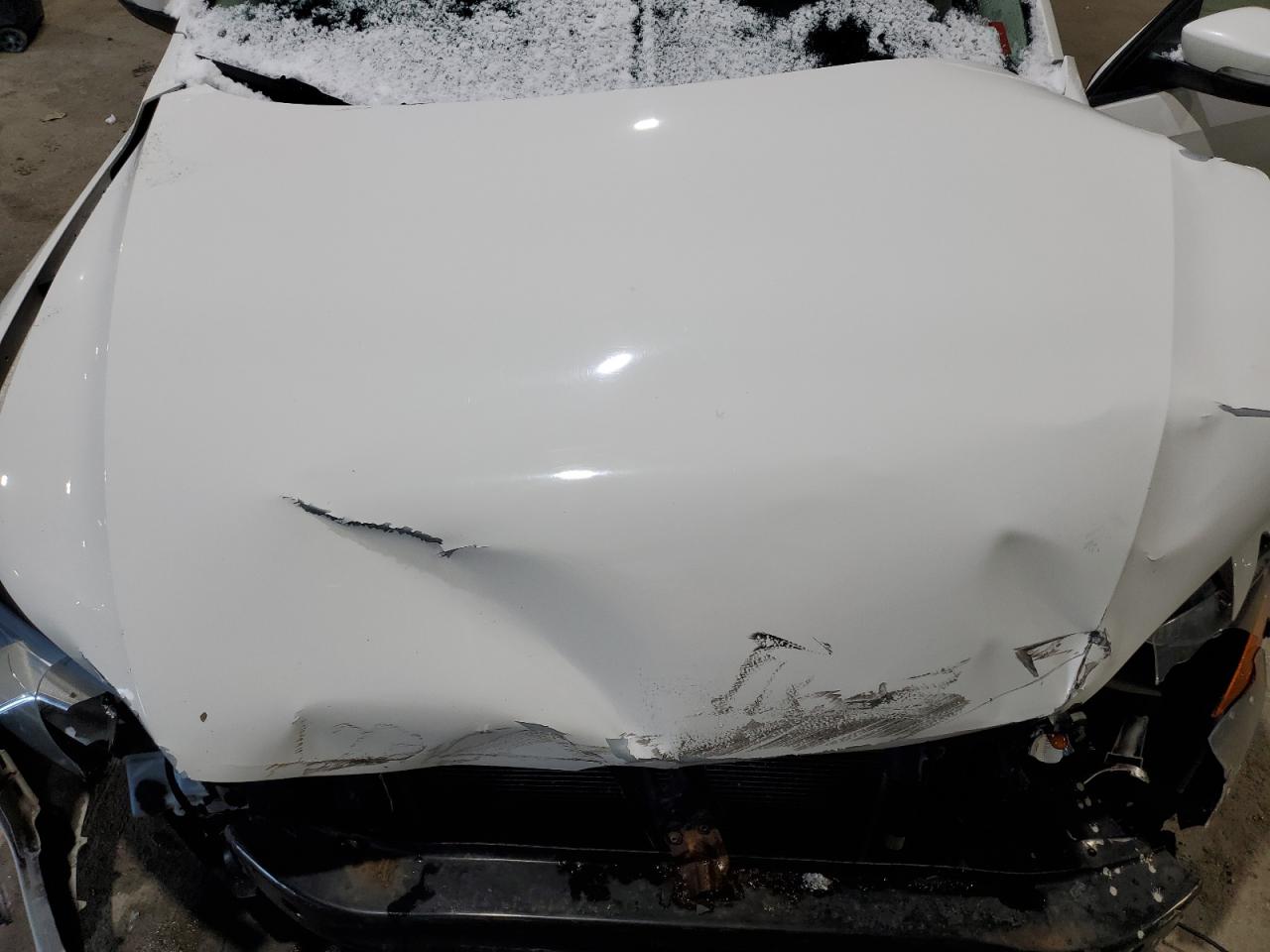 2014 Volkswagen Passat VIN 1VWAP7A32EC019069 Copart auction photo, front end / minor dent/scratches damage thumbnail 11