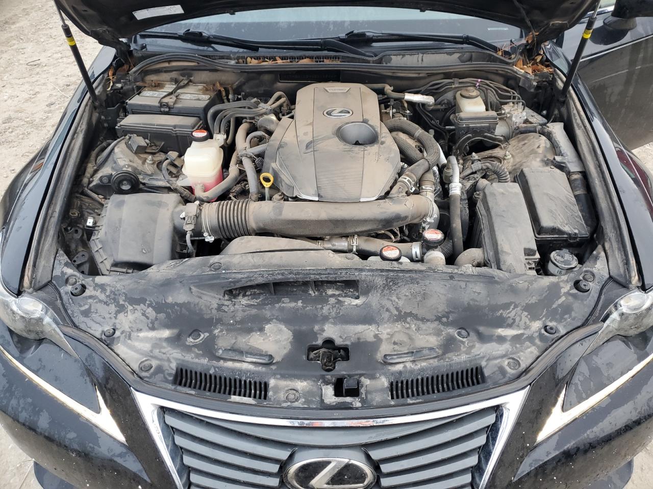 2016 Lexus IS VIN JTHBA1D2XG5014944 Copart auction photo, hail damage thumbnail 11