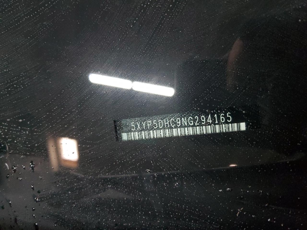 2022 KIA Telluride VIN 5XYP5DHC9NG294165 Copart auction photo, side damage thumbnail 13