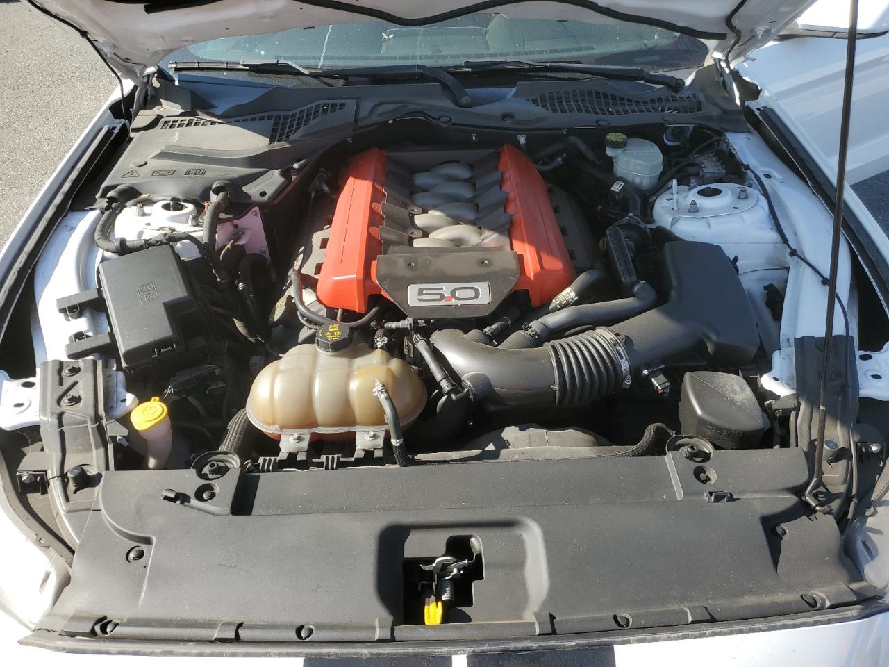 2016 Ford Mustang VIN 1FA6P8CF5G5304044 Copart auction photo, side damage thumbnail 12