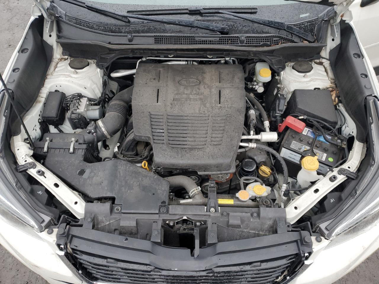 2019 Subaru Forester VIN JF2SKAUC5KH551026 Copart auction photo, rear end / top/roof damage thumbnail 12