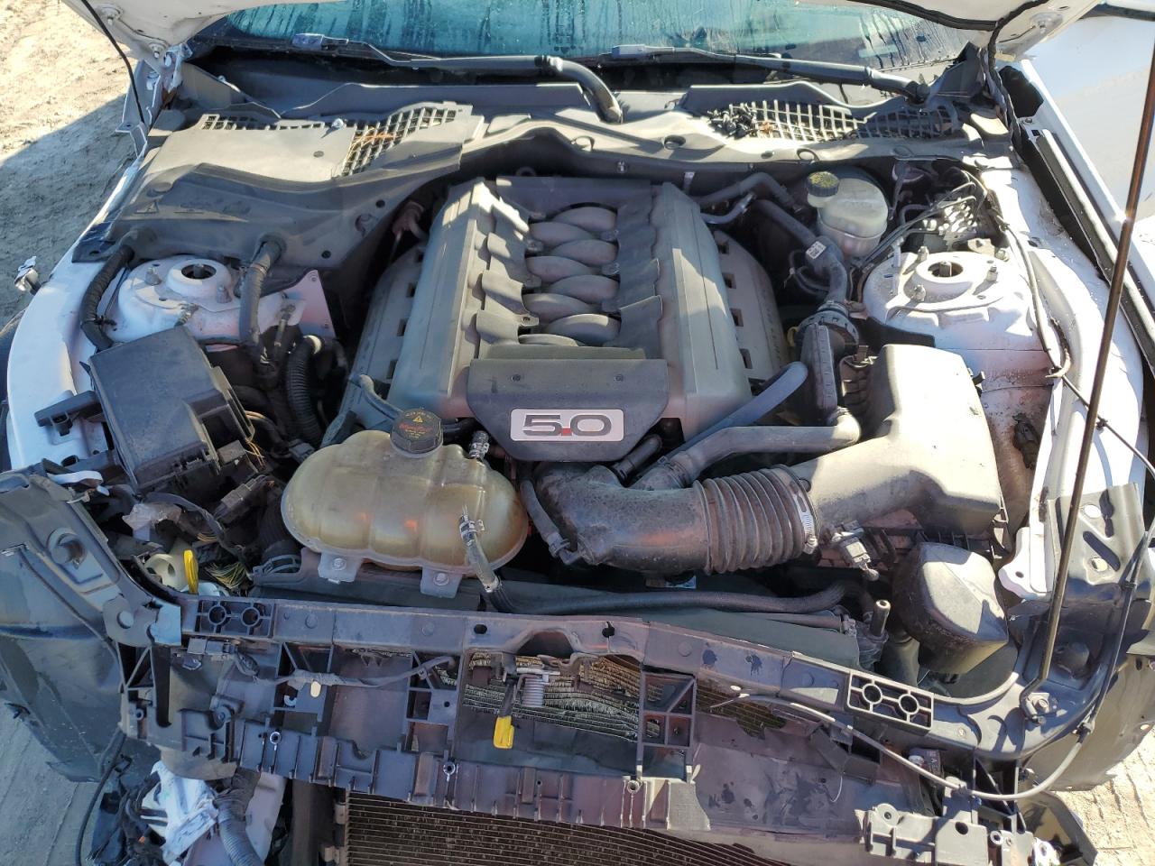 2016 Ford Mustang VIN 1FA6P8CF9G5317296 Copart auction photo, front end damage thumbnail 11