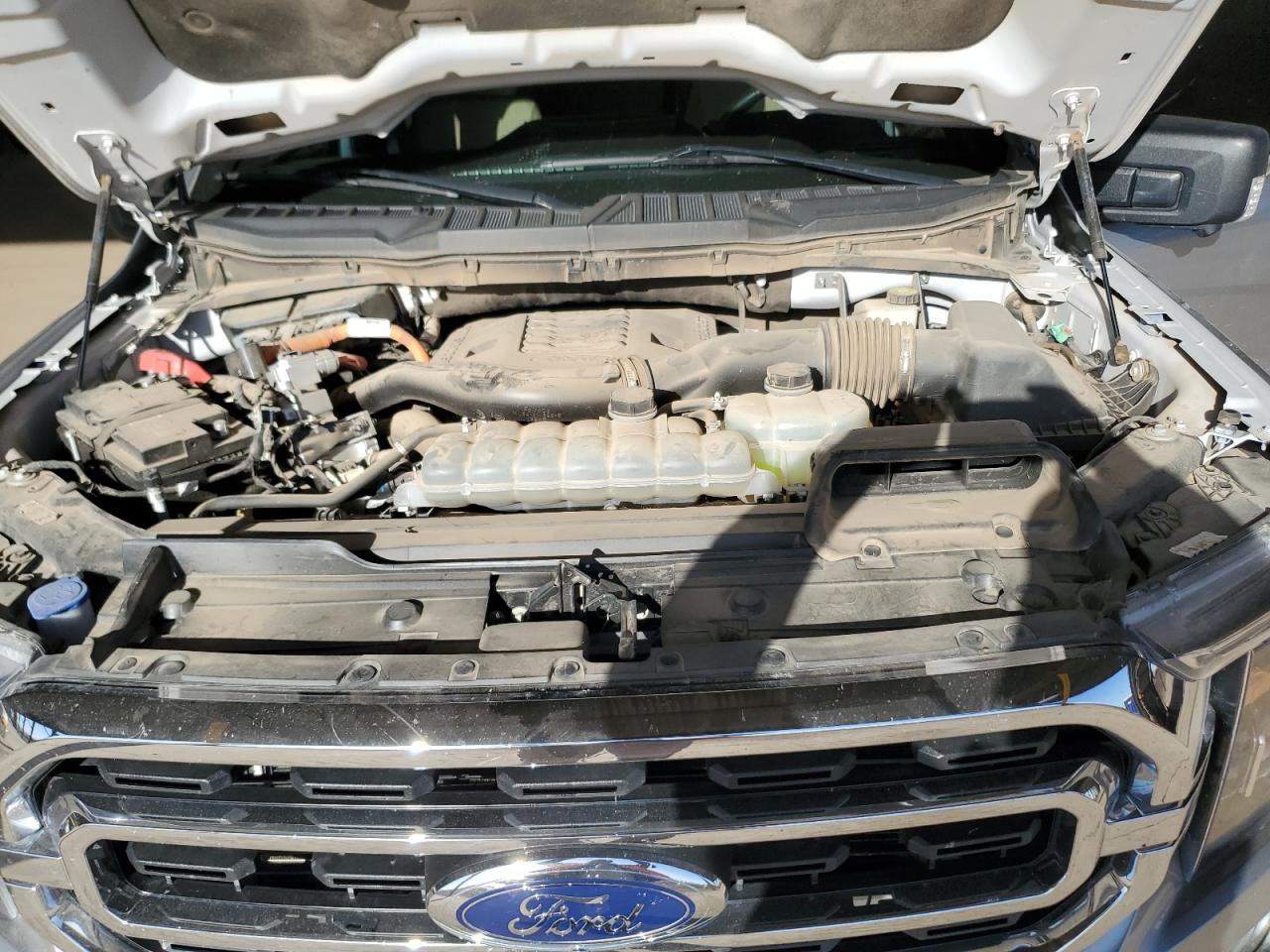 2023 Ford F-150 VIN 1FTFW1ED2PFB05950 Copart auction photo, side / minor dent/scratches damage thumbnail 11