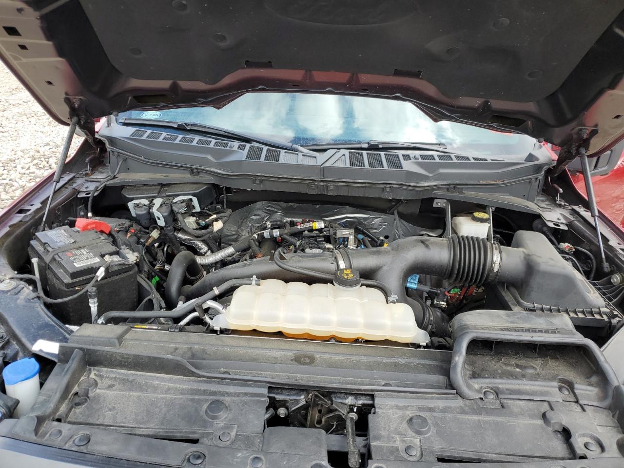 2021 Ford F-150 VIN 1FTEW1EPXMKE78906 Copart auction photo, front end / rear end damage thumbnail 12