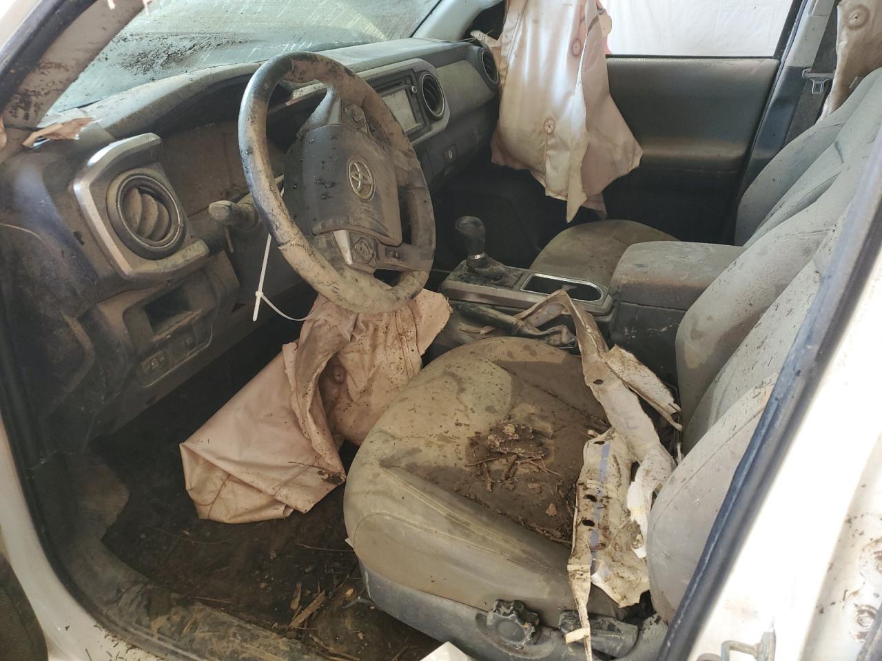 2019 Toyota Tacoma VIN 3TMCZ5AN8KM282849 Copart auction photo, water/flood / side damage thumbnail 7