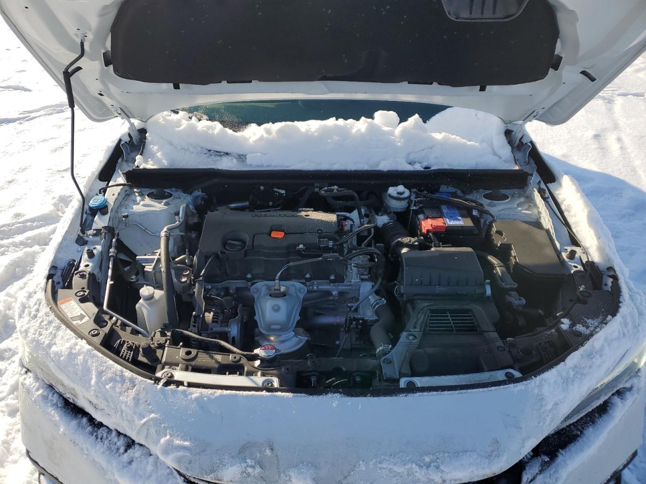 2023 Honda Civic VIN 19XFL2H57PE024083 Copart auction photo, front end damage thumbnail 11