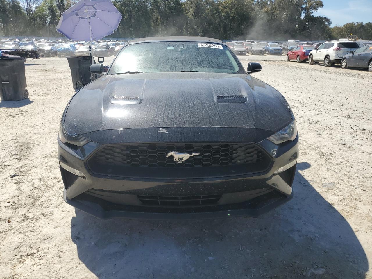 2018 Ford Mustang VIN 1FATP8UH0J5109771 Copart auction photo, rear end / side damage thumbnail 5