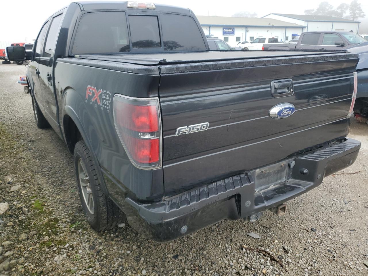 2012 Ford F-150 VIN 1FTFW1CT4CFB68973 Copart auction photo, mechanical damage thumbnail 2