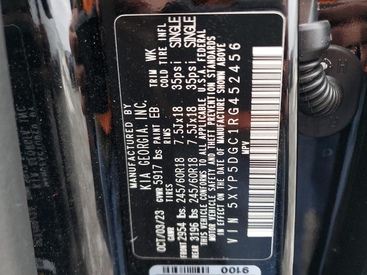 2024 KIA Telluride VIN 5XYP5DGC1RG452456 Copart auction photo, front end damage thumbnail 13