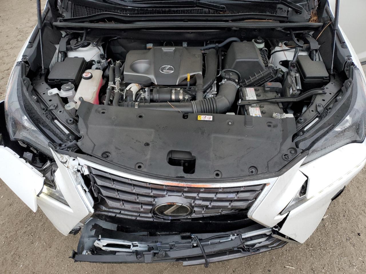 2021 Lexus NX VIN JTJDARBZ8M5027595 Copart auction photo, front end damage thumbnail 14