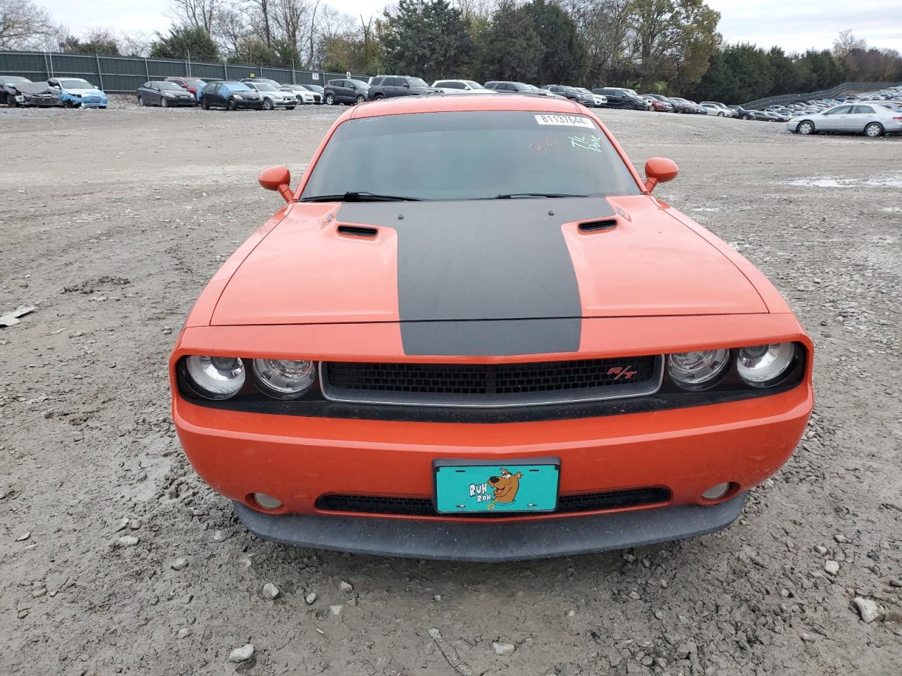 2013 Dodge Challenger VIN 2C3CDYBT9DH733726 Copart auction photo, rear end damage thumbnail 5