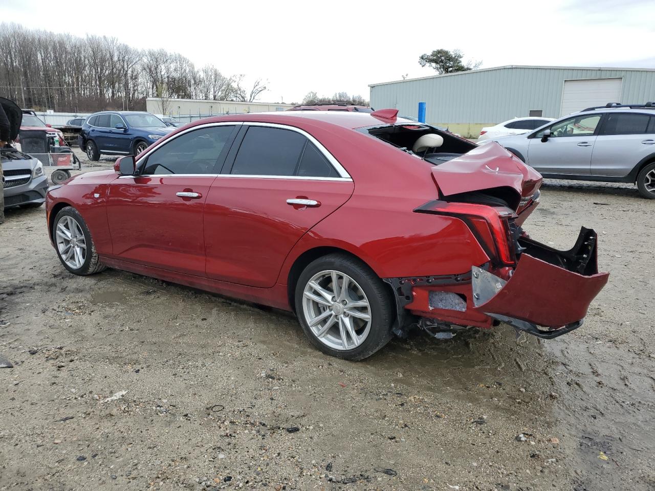 2023 Cadillac CT4 VIN 1G6DA5RKXP0150324 Copart auction photo, rear end / minor dent/scratches damage thumbnail 2