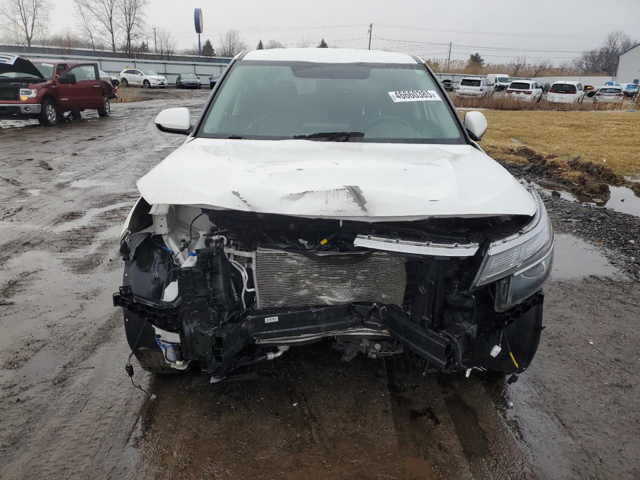 2021 KIA Seltos VIN KNDEPCAA7M7105349 Copart auction photo, front end damage thumbnail 5