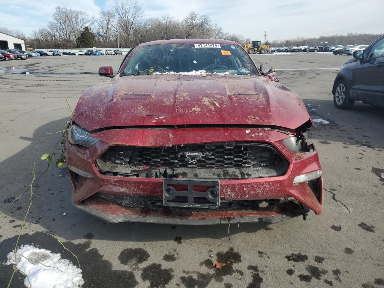 2019 Ford Mustang VIN 1FA6P8TH6K5146596 Copart auction photo, all over damage thumbnail 5