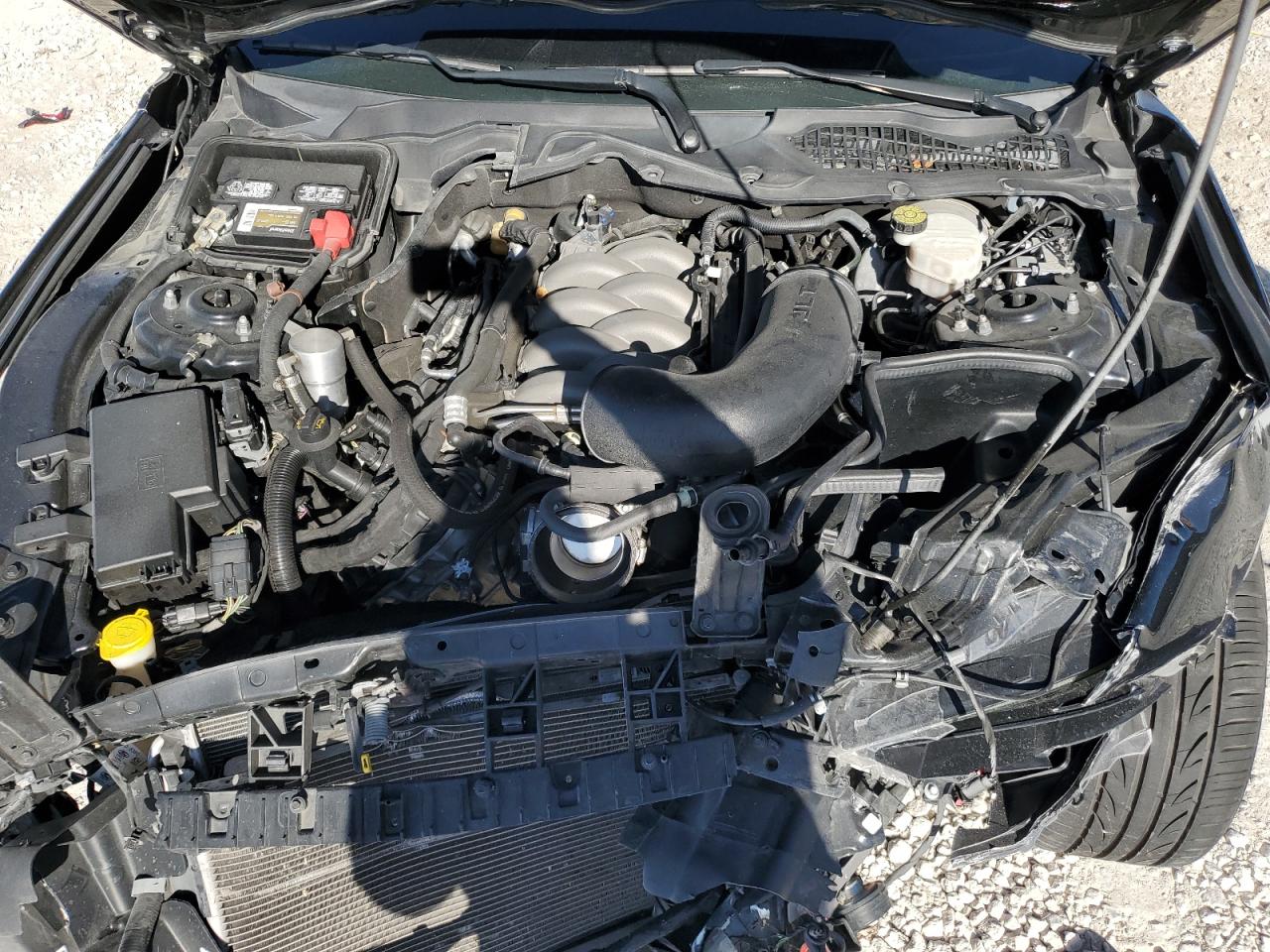2019 Ford Mustang VIN 1FA6P8CF8K5116854 Copart auction photo, front end / rear end damage thumbnail 11