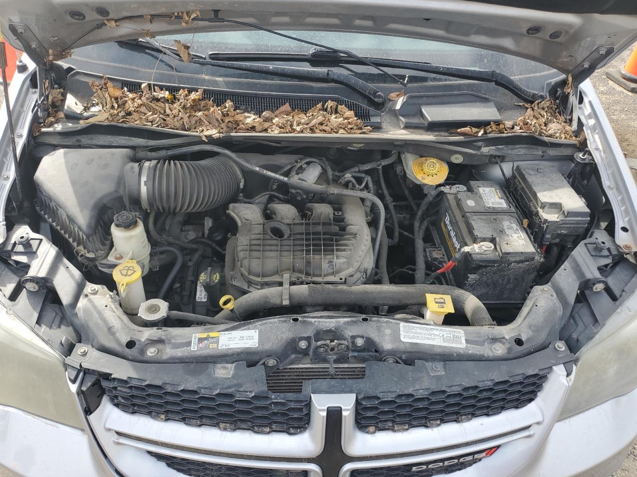 2014 Dodge Caravan VIN 2C4RDGEG6ER248230 Copart auction photo, side damage thumbnail 11