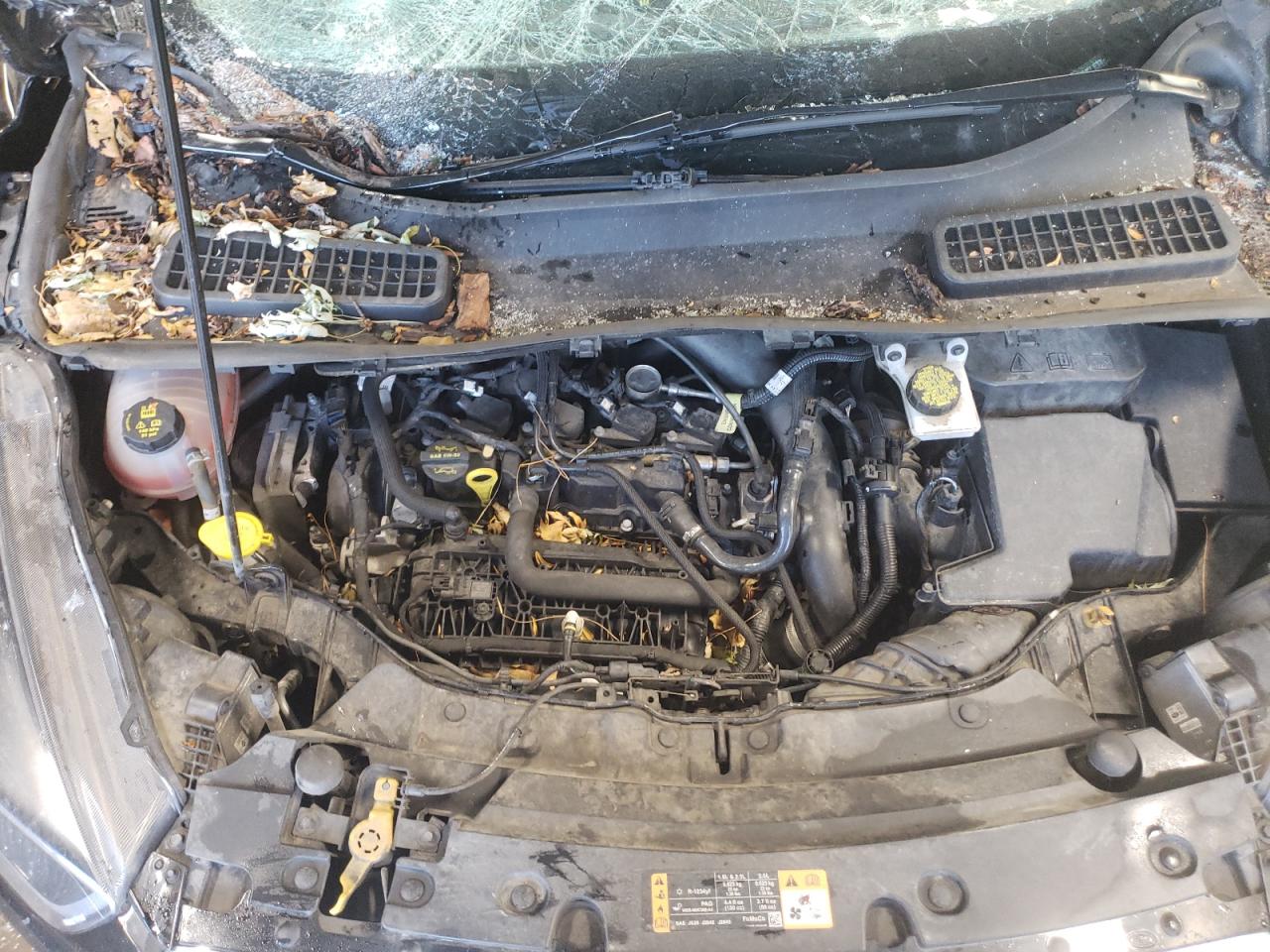 2019 Ford Escape VIN 1FMCU9GD6KUA72441 Copart auction photo, front end damage thumbnail 11