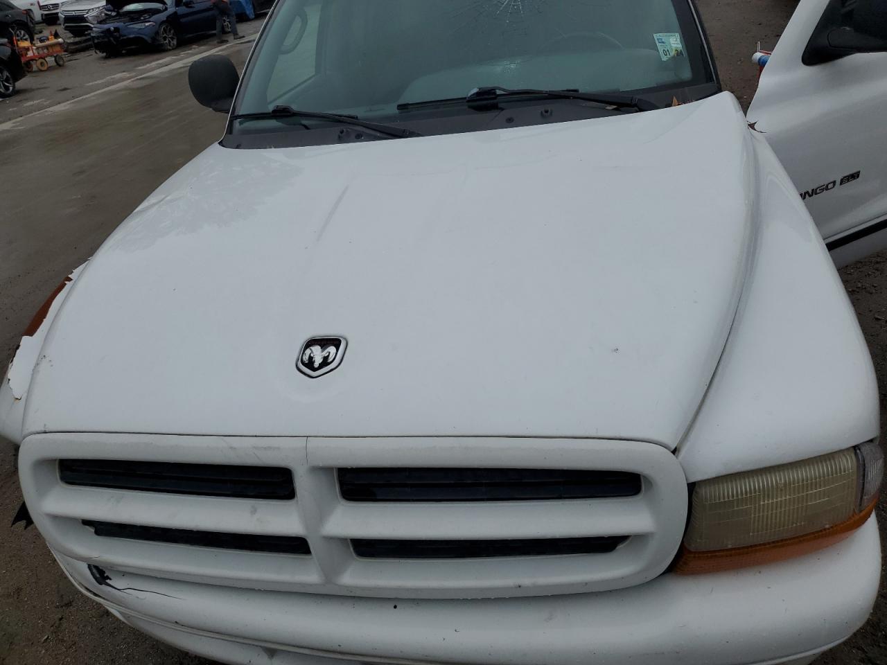 1999 Dodge Durango VIN 1B4HS28Z0XF711097 Copart auction photo, side damage thumbnail 12