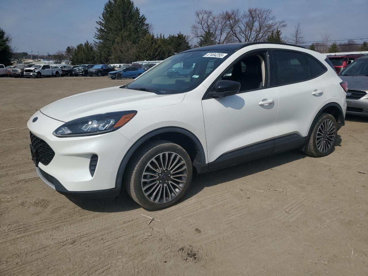 2020 Ford Escape VIN 1FMCU9BZ7LUB96612