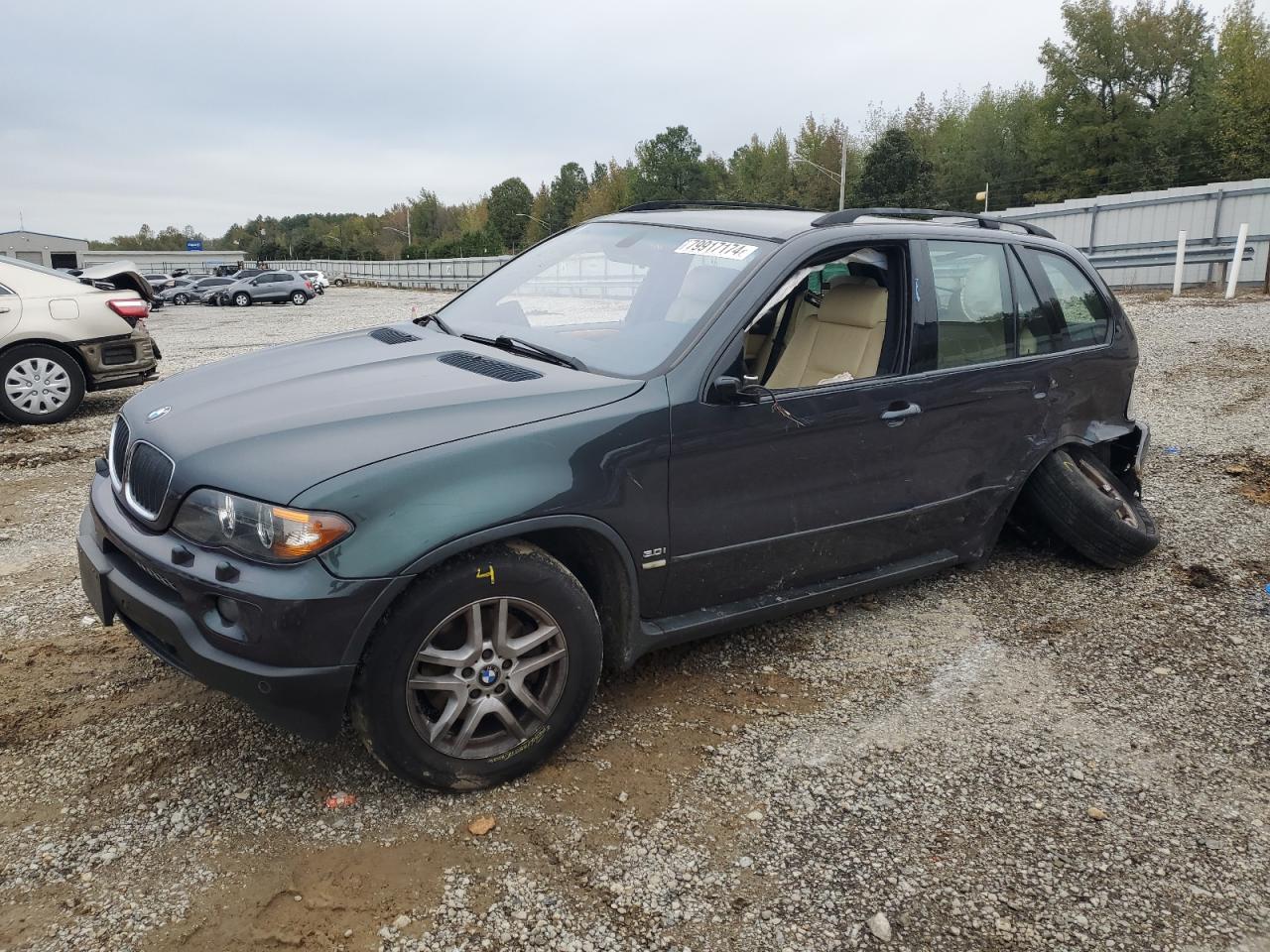 2006 BMW X5 VIN 5UXFA13566LY02336