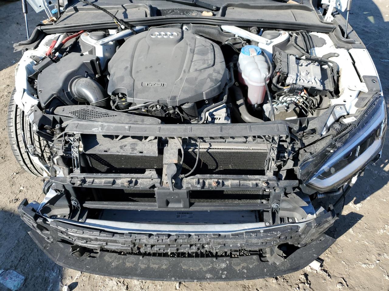 2019 Audi A5 VIN WAUBNCF55KA007647 Copart auction photo, front end damage thumbnail 11