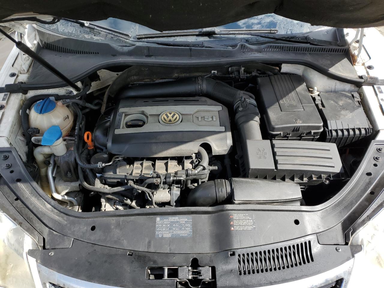 2009 Volkswagen Eos VIN WVWFA71F39V011612 Copart auction photo, side damage thumbnail 11