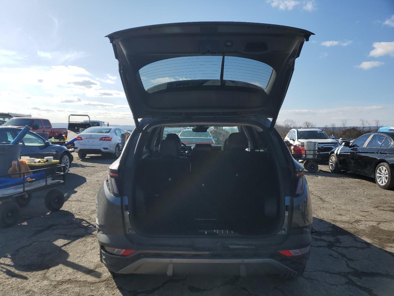 2022 Hyundai Tucson VIN 5NMJECAE7NH031092 Copart auction photo, rear end / side damage thumbnail 6