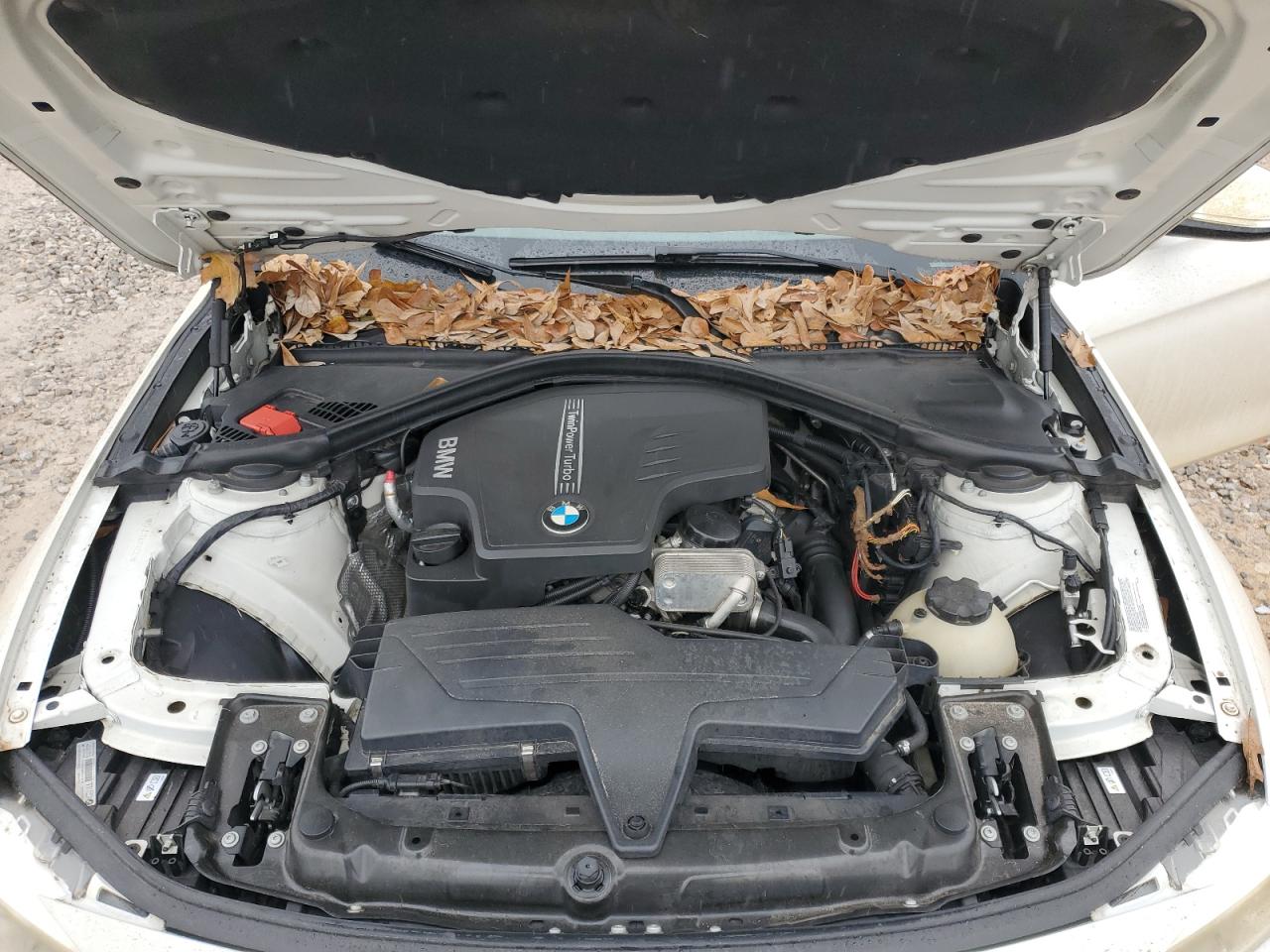 2013 BMW 3er VIN WBA3C1C59DF442826 Copart auction photo, rear end damage thumbnail 12