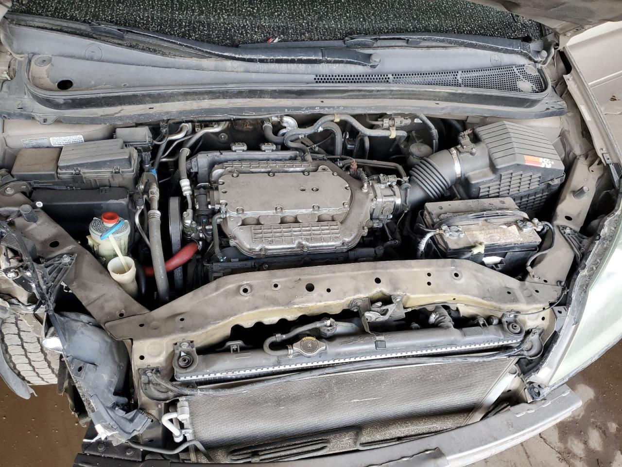 2007 Honda Odyssey VIN 5FNRL38777B117779 Copart auction photo, rear end / front end damage thumbnail 12