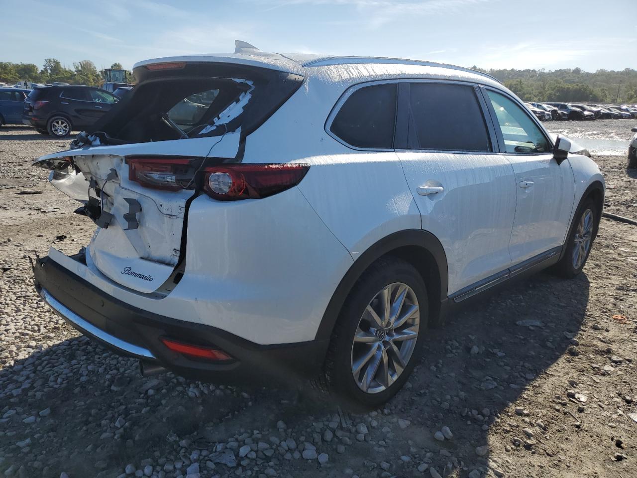 2017 Mazda CX-9 VIN JM3TCADY9H0135250 Copart auction photo, all over damage thumbnail 3