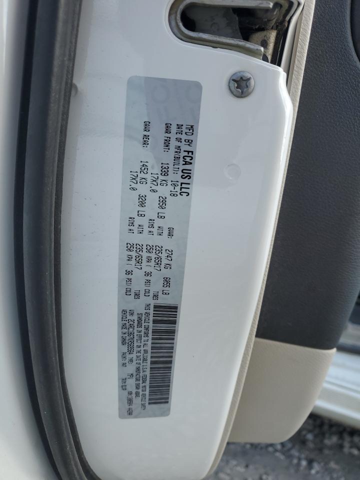 2019 Chrysler Pacifica VIN 2C4RC1BG7KR569564 Copart auction photo, side damage thumbnail 13