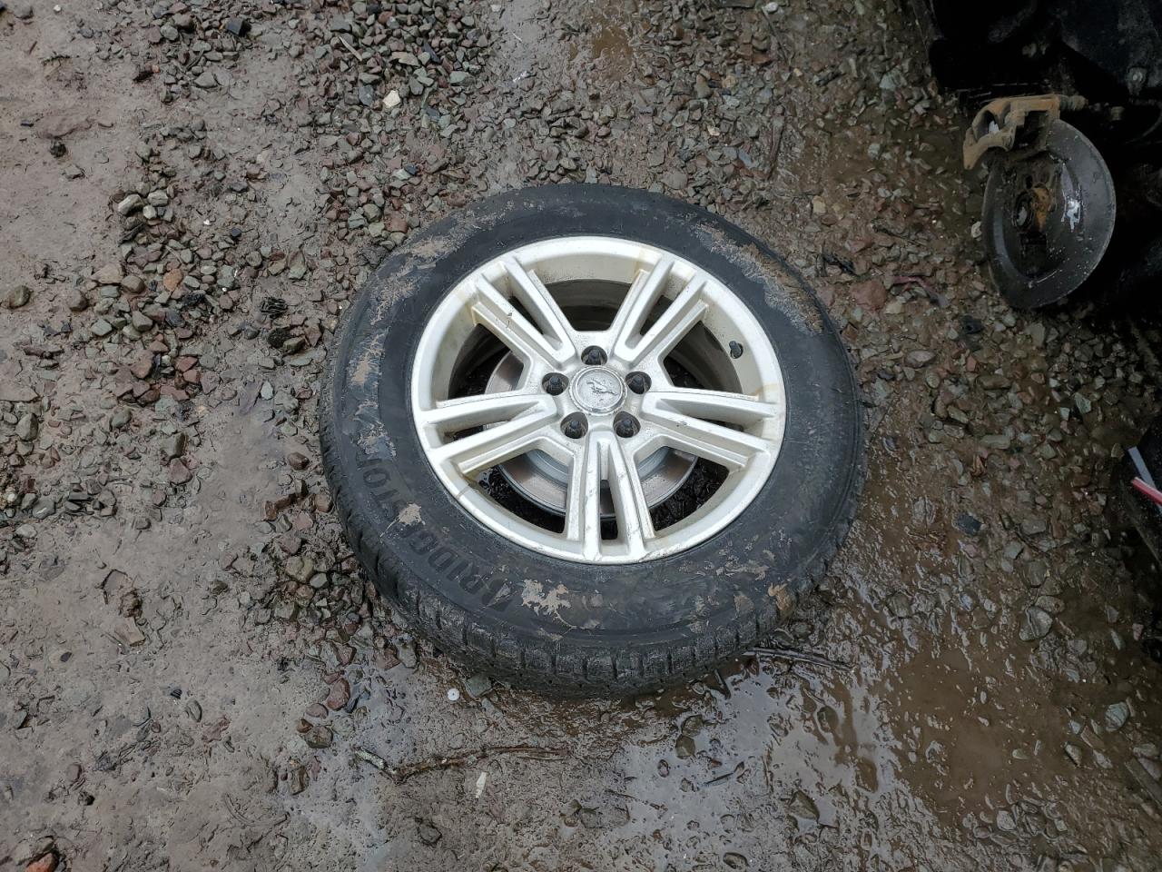 2014 Ford Mustang VIN 1ZVBP8AMXE5290789 Copart auction photo, all over / undercarriage damage thumbnail 12