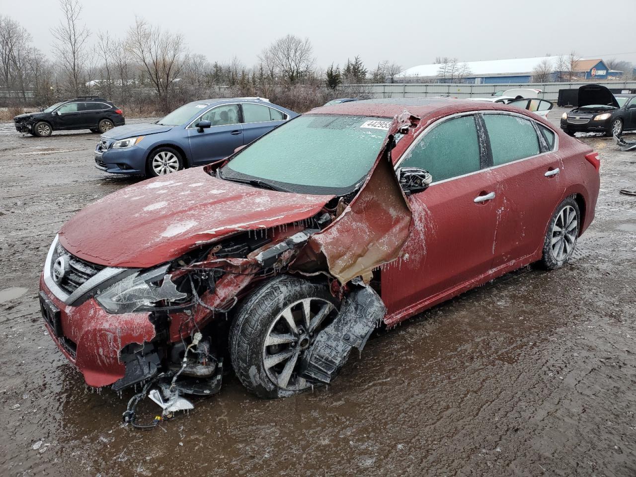 2016 Nissan Altima VIN 1N4AL3AP3GC144049