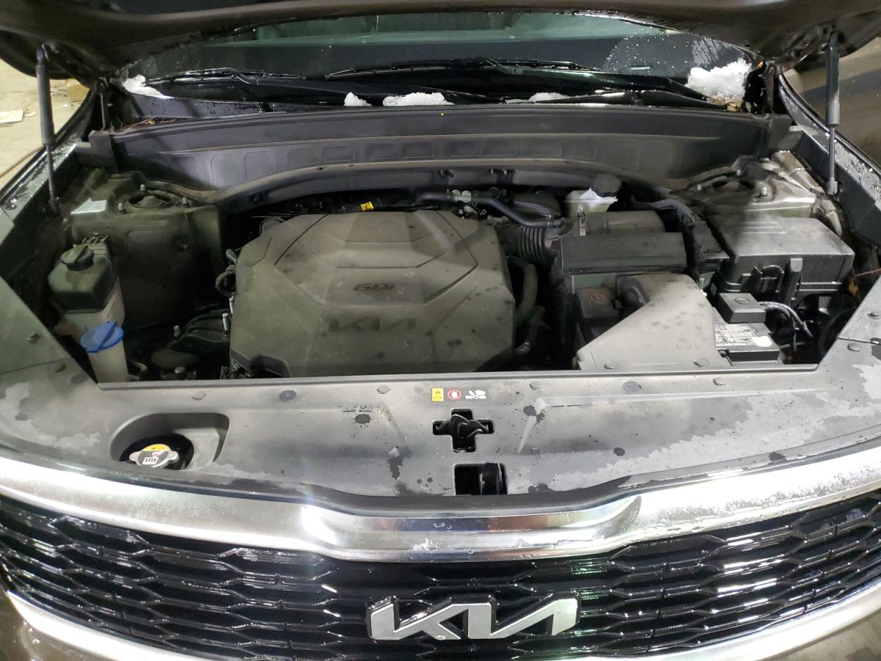 2022 KIA Telluride VIN 5XYP6DHC0NG307527 Copart auction photo, rear end damage thumbnail 12