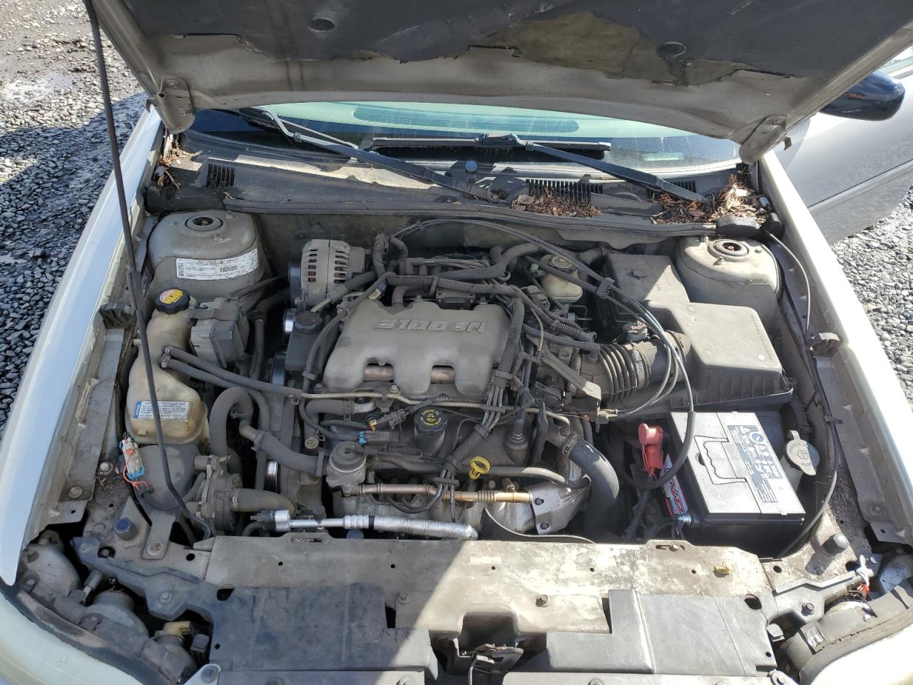2000 Chevrolet Malibu VIN 1G1ND52J6Y6258120 Copart auction photo, rear end damage thumbnail 11