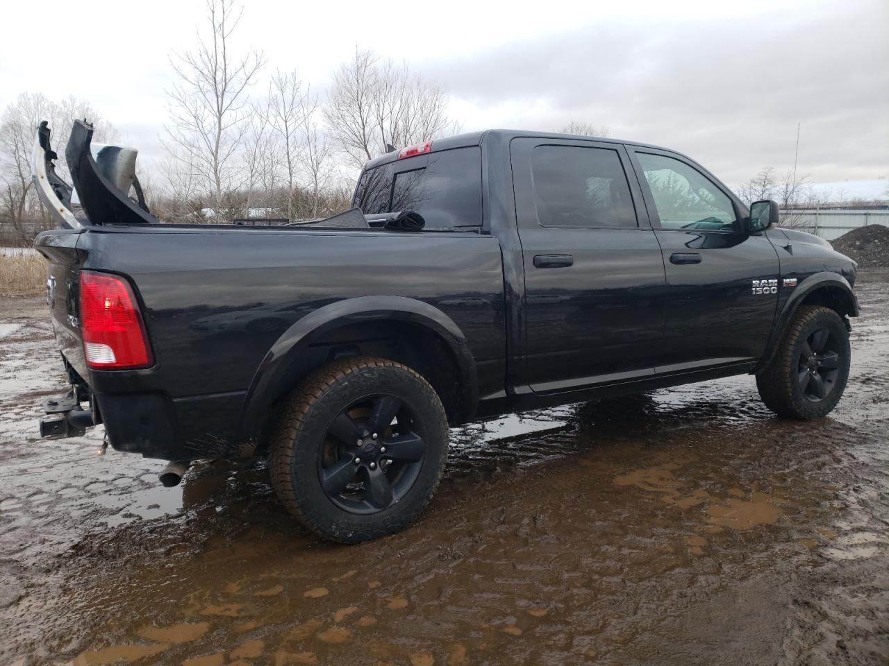2016 RAM 1500 VIN 1C6RR7LT0GS249254 Copart auction photo, front end / rear end damage thumbnail 3