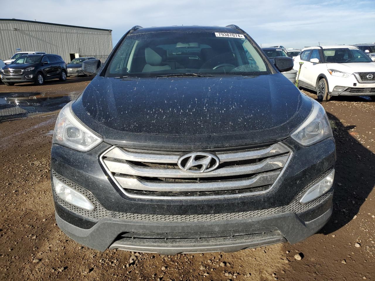 2014 Hyundai Santa Fe VIN 5XYZUDLBXEG195557 Copart auction photo, hail / minor dent/scratches damage thumbnail 5