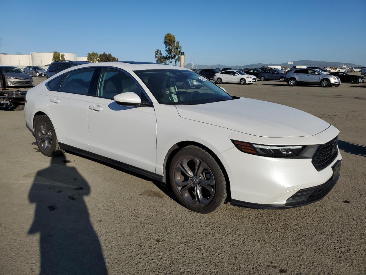 2023 Honda Accord VIN 1HGCY1F31PA049159 Copart auction photo, side damage thumbnail 4