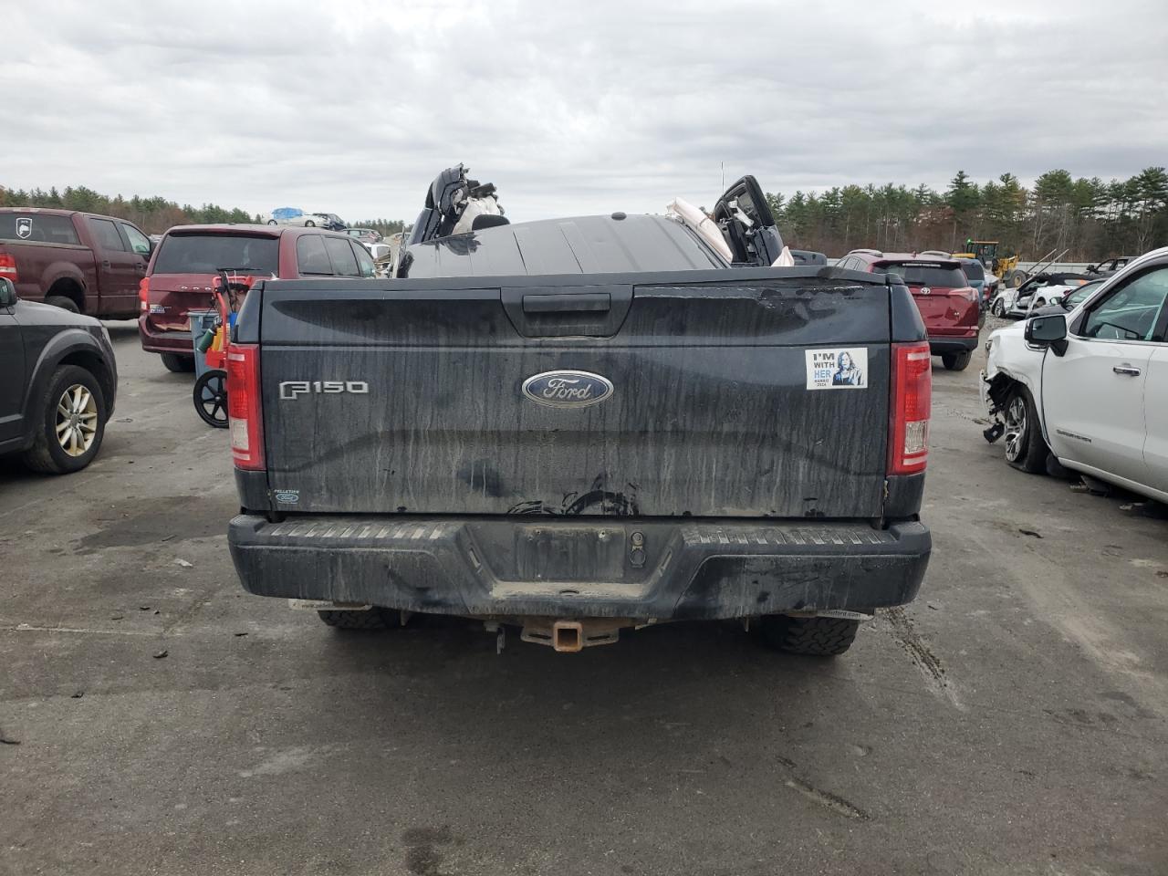 2017 Ford F-150 VIN 1FTEW1EP0HFA79615 Copart auction photo, rollover / all over damage thumbnail 6