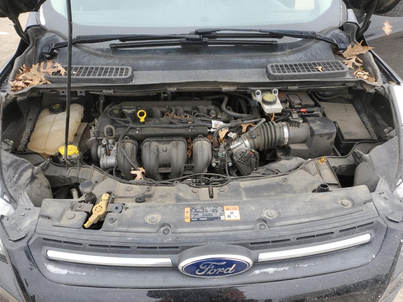 2016 Ford Escape VIN 1FMCU0G72GUA27395 Copart auction photo, front end damage thumbnail 11
