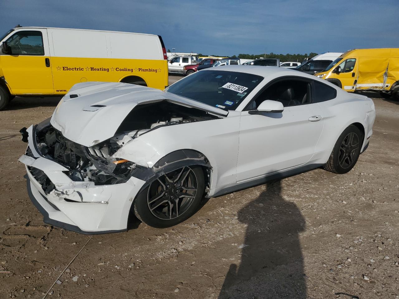 2019 Ford Mustang VIN 1FA6P8TH8K5172164